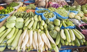 तरकारी संकलन केन्द्र बन्ने भएपछि किसानहरु खुशी