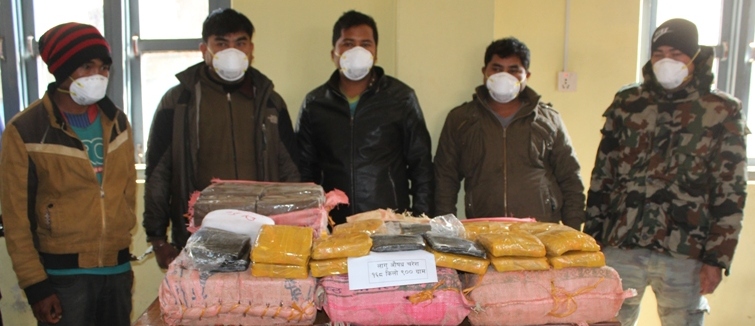 धादिङमा १६८ किलो ९ सय ग्राम लागु औषध चरेस सहित ५ जना पक्राउ