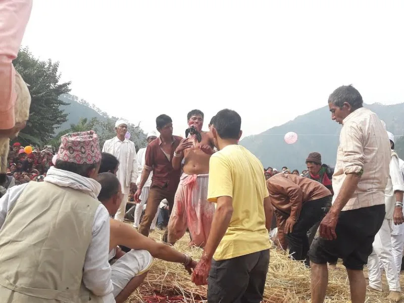 सुन्दै अचम्म लाग्ने परम्परा : ६४ बोका मान्छेको दाँतले टोकेर मार्ने प्रचलन
