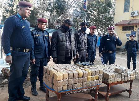धादिङको गजुरीबाट २३५ किलो लागु औषध चरेस बराबद