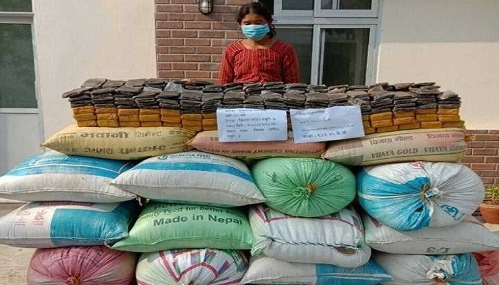 लागू औषध चरेश सहित एक महिला गजुरीबाट पक्राउ