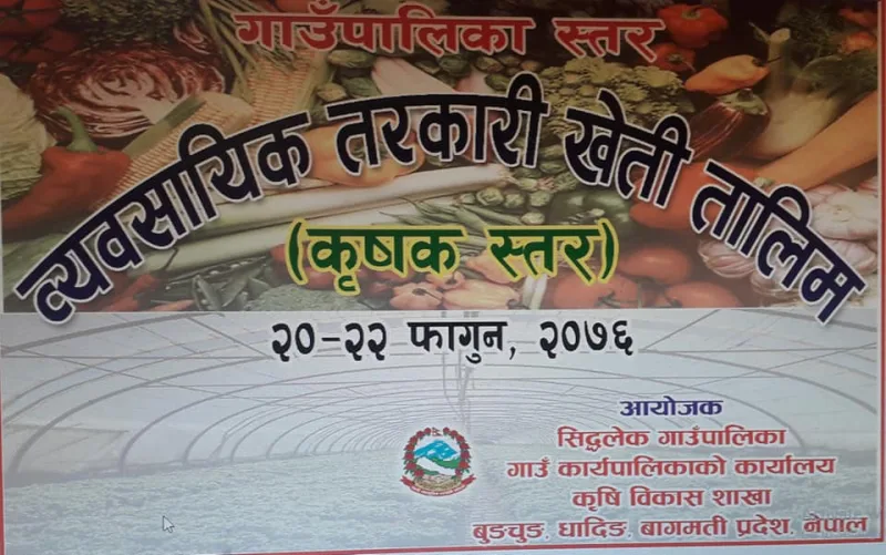 अगुवा कृषकहरुका लागि व्यवसायिक तरकारी खेती सम्बन्धी तालिम सुरु