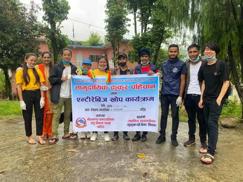 धादिङवेशी बजार सडकका वेवारिसे कुकुरलाई ‘निवन वेल्ट’