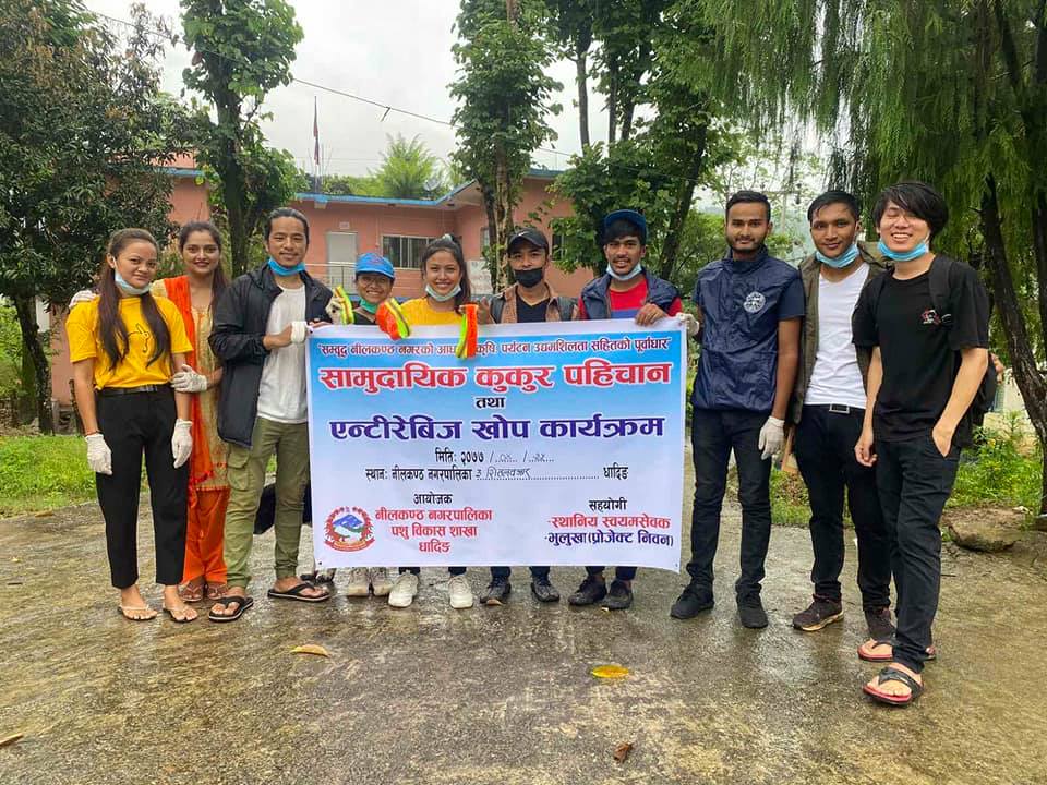 धादिङवेशी बजार सडकका वेवारिसे कुकुरलाई ‘निवन वेल्ट’