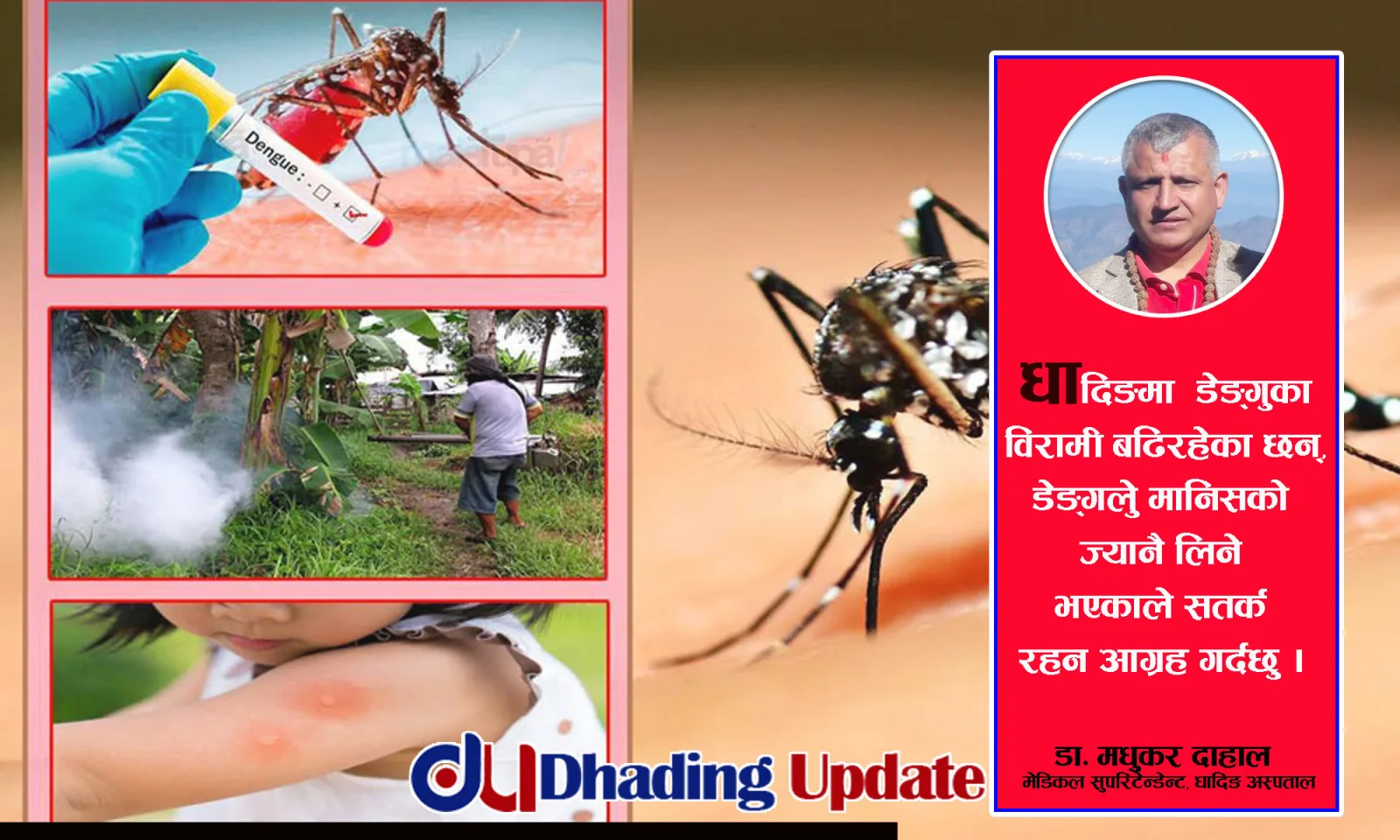 धादिङ अस्पतालमा डेङ्गुका विरामी बढे, सतर्क रहन चिकित्सकको आग्रह