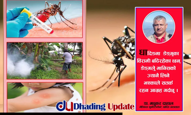धादिङ अस्पतालमा डेङ्गुका विरामी बढे, सतर्क रहन चिकित्सकको आग्रह
