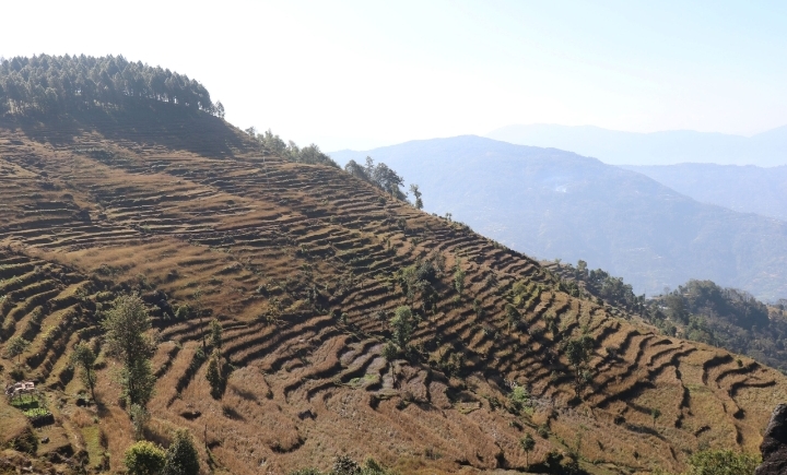 खेतीयोग्य जग्गा बाँझो राखेमा एक लाख जरिवाना