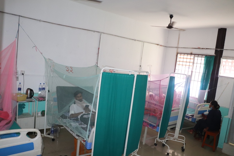 धादिङमा डेंगु संक्रमित एक सय १४ जना पुगे