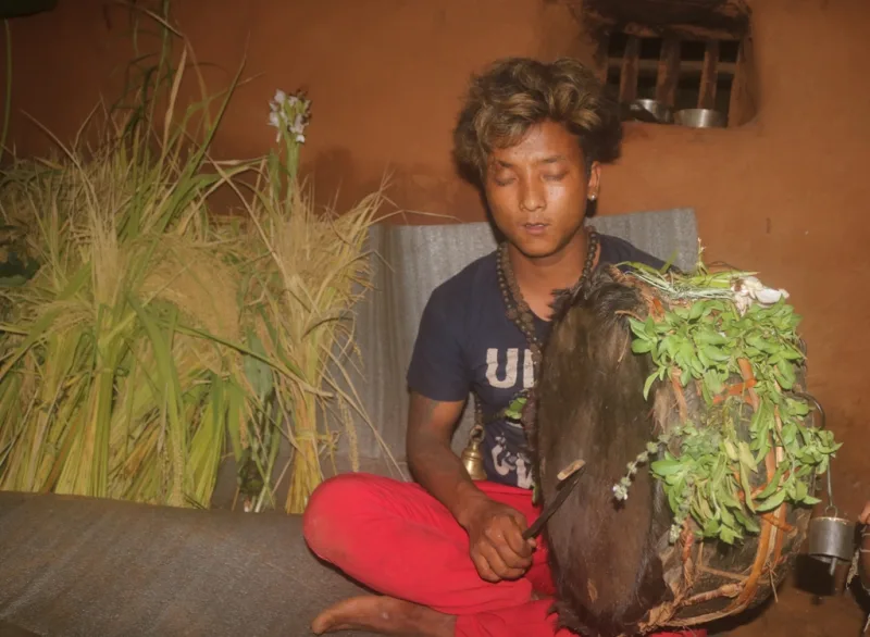 चेपाङ समुदायको राष्ट्रिय धार्मिक पर्व छोनाम : चितवन, मकवानपुर र धादिङमा सार्वजनिक बिदा