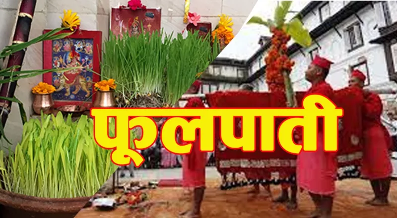 आज फूलपाती,देशभर पूजाआजा गरेर धार्मिक विधिपूर्वक फूलपाती भित्र्याइँदै