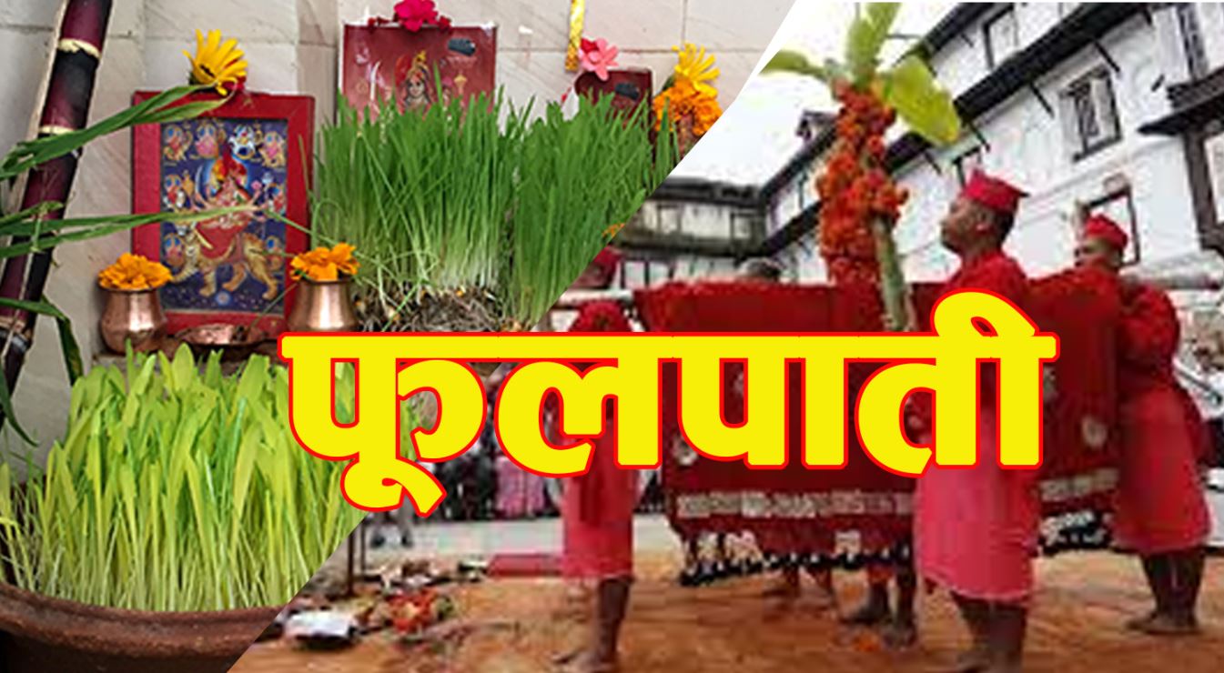 आज फूलपाती,देशभर पूजाआजा गरेर धार्मिक विधिपूर्वक फूलपाती भित्र्याइँदै