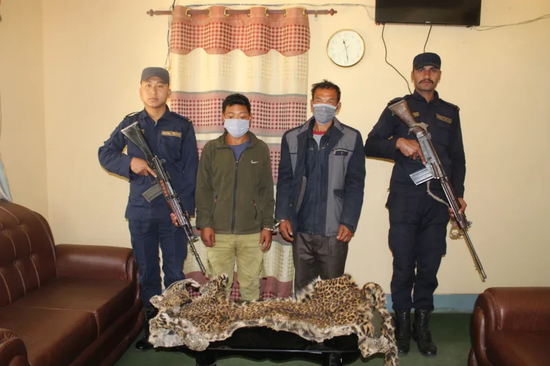 धादिङको थांक्रेबाट चितुवाको छाला सहित २ जना पक्राउ