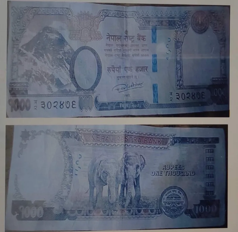 धादिङमा नक्कली नोट सहित एक पक्राऊ