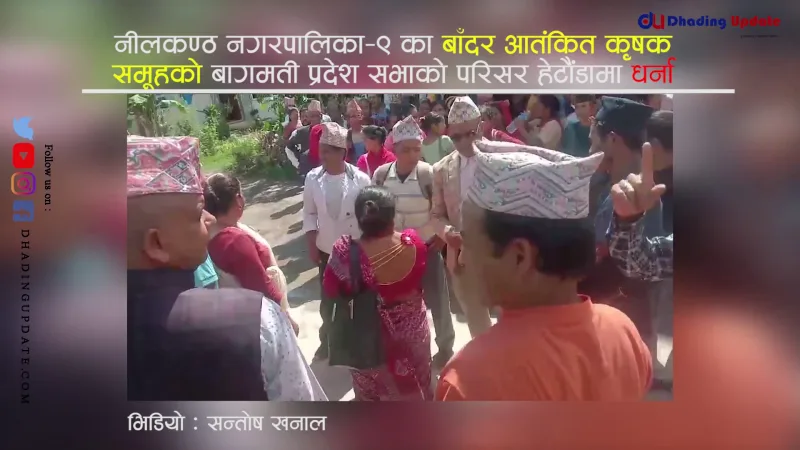 धादिङका बाँदर पिडित किसानहरुको आन्दोलन प्रदेश राजधानी हेटौंडामा(भिडियो)