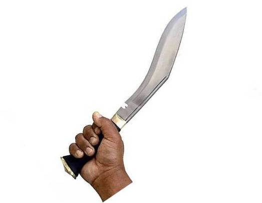 दार्खामा कानमा कराएको निहुँमा खुकुरी प्रहार, महिला गम्भीर घाईते