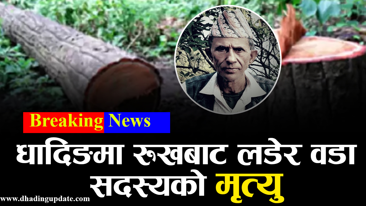 धादिङको नीलकण्ठमा शोक विदा