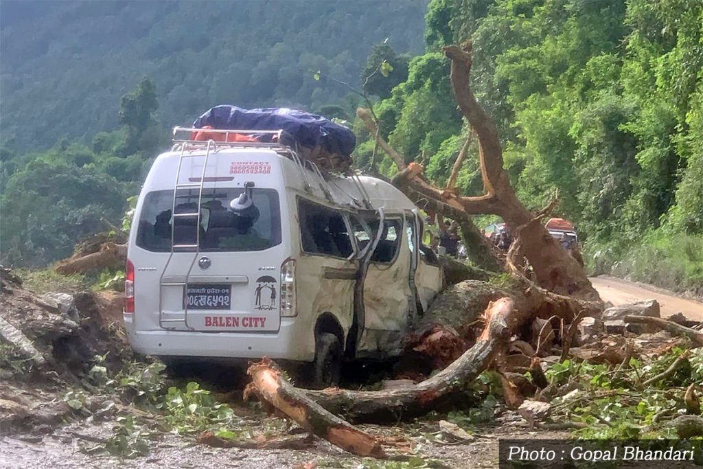 धादिङको गजुरी स्थित जरेखोलामा गुडिरहेको माइक्रो बसमाथि रुख ढल्दा ७ यात्रु घाइते