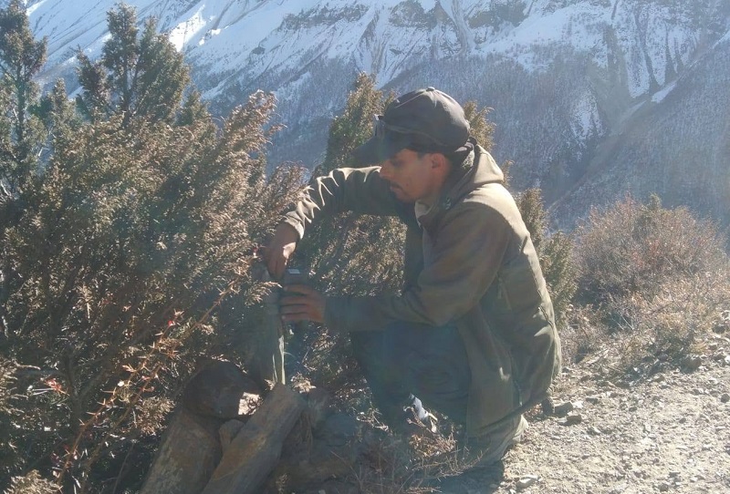 मनाङमा हिउँ चितुवा सर्वेक्षण चल्दै