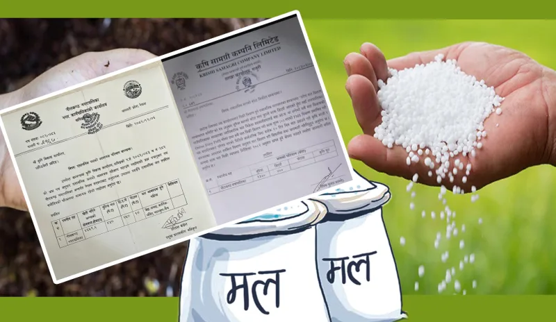 नीलकण्ठमा रासायनिक मलको अभावः १६,८०० बोरा युरिया माग