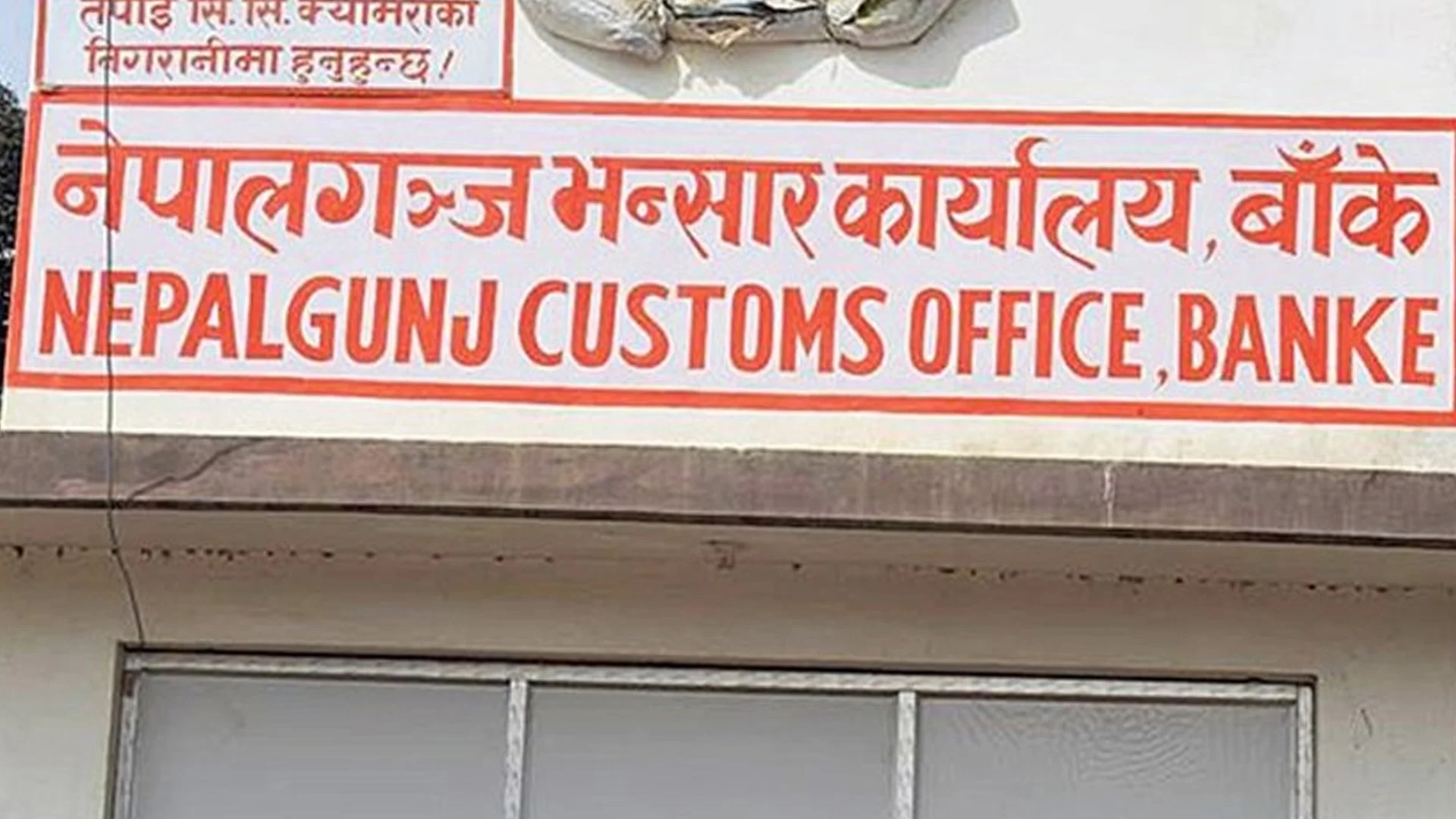२५ करोड पर्ने १२ टन सल्लाको आँख्ला निकासी नहुँदा समस्या