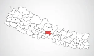 तनहुँमा चैते धान प्रवर्द्धन गरिँदै