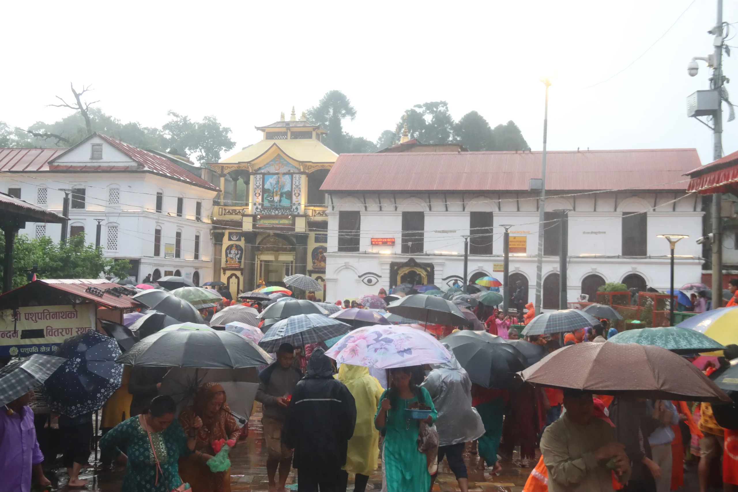 पशुपतिनाथमा दर्शनार्थीको ओइरो   