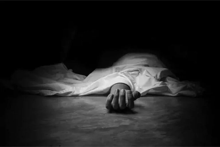 पहिरोसँग खसेको ढुङ्गा लागेर डोल्पामा एकको मृत्यु