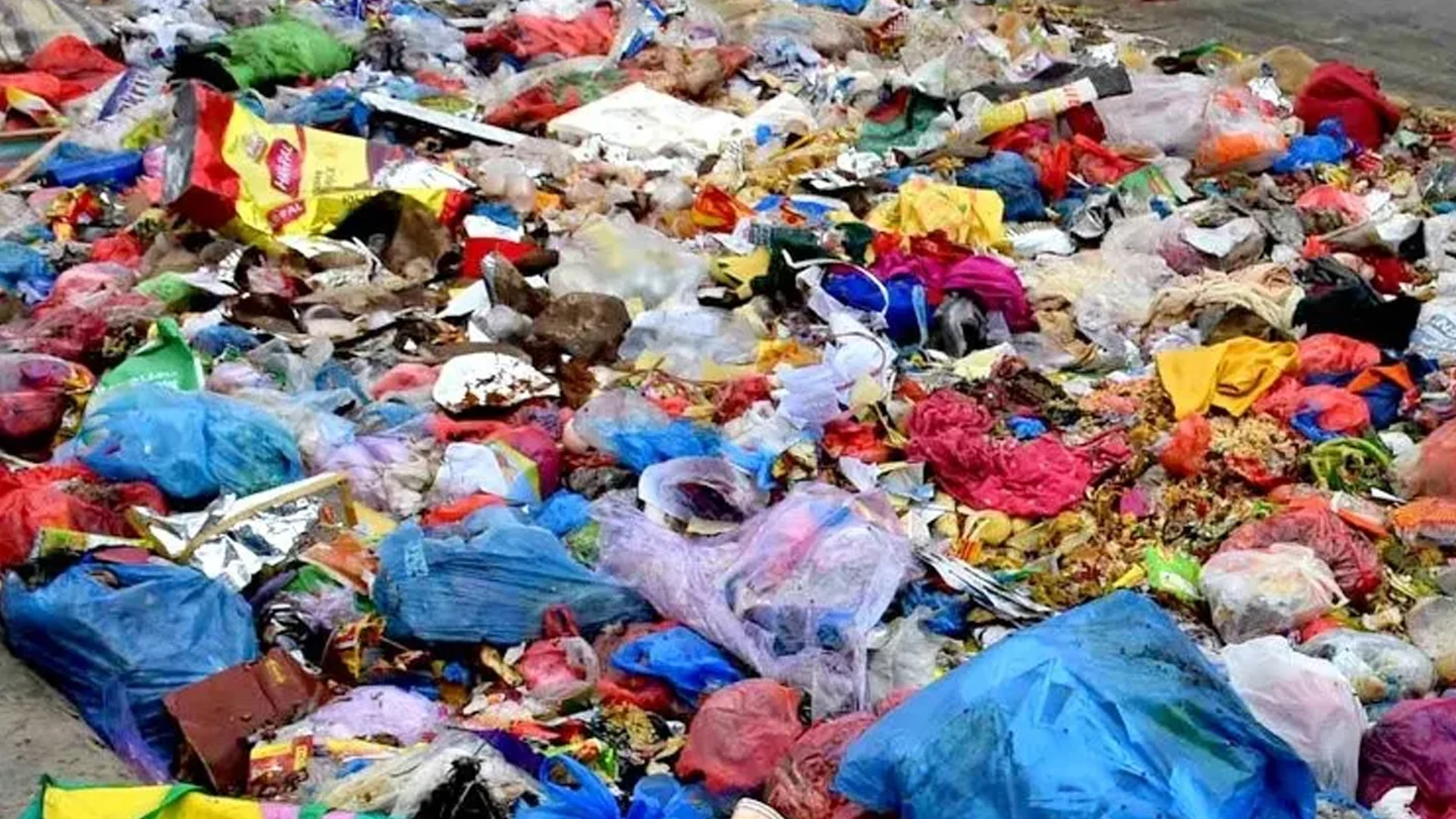 फोहर बेचेर व्यासले कमायो २७ लाख