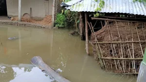 सप्तरीका ५०० घर डुबानमा