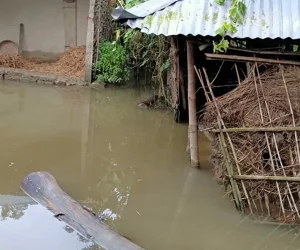 सप्तरीका ५०० घर डुबानमा