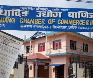 बाढीको मारमा धादिङको अर्थतन्त्र, व्यवसाय पुनःउत्थानका लागि ध्यानाकर्षण