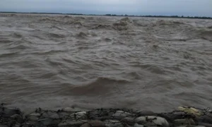 चार दिनको वर्षा: पाँच सय ४२ विपद्का घटना