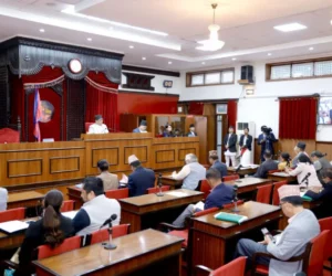 राष्ट्रियसभामा विपद् अध्ययन गर्न विशेष समिति गठन