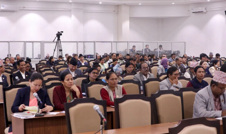 प्रतिनिधिसभा : सरकारी संरचना अनिवार्य बिमा गर्नुपर्ने