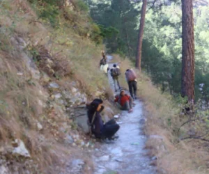 बाजुराको चारवटा वडा सडक सञ्जालको पहुँच बाहिर