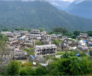 बाटो सहज भएपछि घान्द्रुक जाने पर्यटक बढ्दै