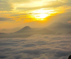 आलेखःकुहिरोको घुम्टोमा मानुङकोट