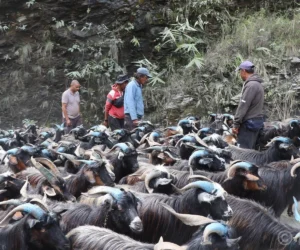 रेशमी मार्गको विरासत धानेको च्याङ्ग्रा व्यापार
