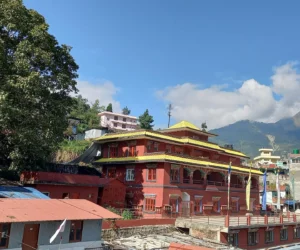 अहिंसाको संस्कार घरदेखि समाजसम्म विकास गर्न आह्वान
