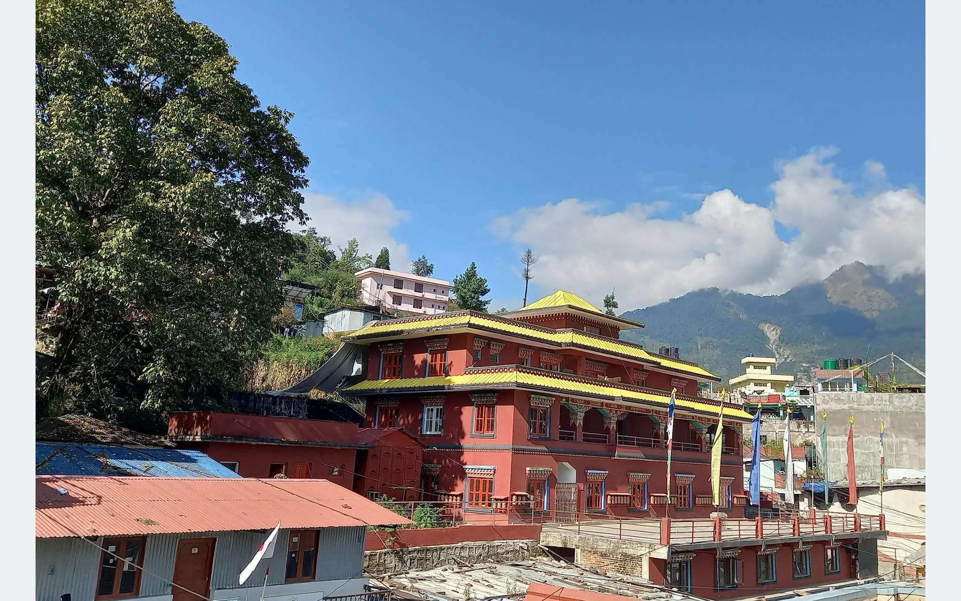 अहिंसाको संस्कार घरदेखि समाजसम्म विकास गर्न आह्वान