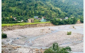 धान भित्र्याउने बेलामा बाढीले खेतै लग्यो