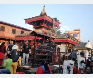 आश्विन शुक्ल द्वितीयाः विधिपूर्वक ब्रह्मचारिणी देवीको पूजा आराधना गरियो