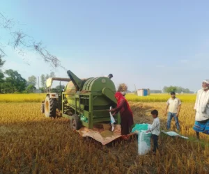 ‘थ्रेसर मेसिन’सञ्चालन गरेर गाउँमै स्वरोजगार