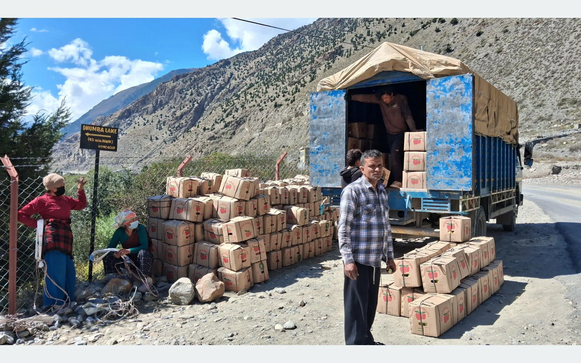 मुस्ताङबाट हालसम्म ३० प्रतिशतमात्र स्याउ निकासी