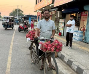 साइकलमा ‘ड्रागन फ्रुट’ बेचेर स्वरोजगारको सन्देश प्रवाह  गर्दै उद्यमी पन्त