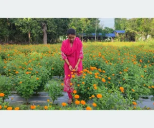 कृषि जेटिएको फूलखेती