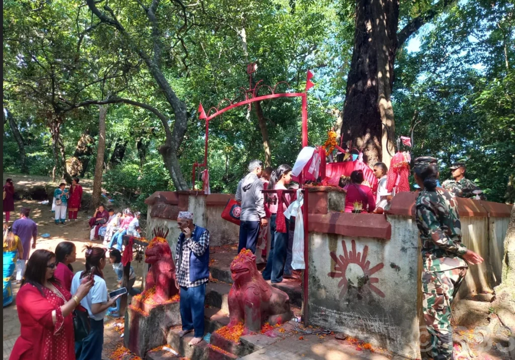 गोकर्ण जङ्गलको वनदेवीमा दर्शनार्थीको लाम