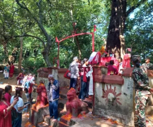गोकर्ण जङ्गलको वनदेवीमा दर्शनार्थीको लाम