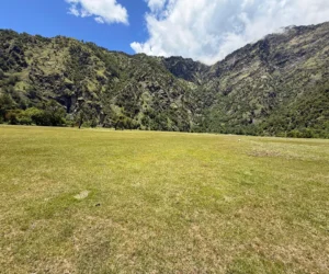 रामारोशनको किनिमिनी मैदानमा क्रिकेट प्रतियोगिता हुँदै