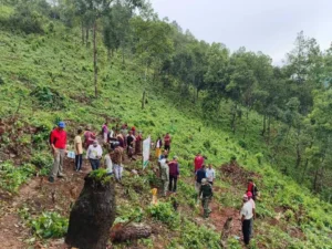 बहुउपयोगी प्रजातिका बिरुवा रोपण